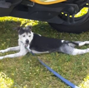 Meet your Posher, Tina